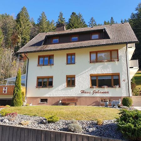 Haus Johanna Тодтмос Экстерьер фото